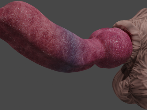 Big Dog Penis Lowpoly Rigged 3D-Modell