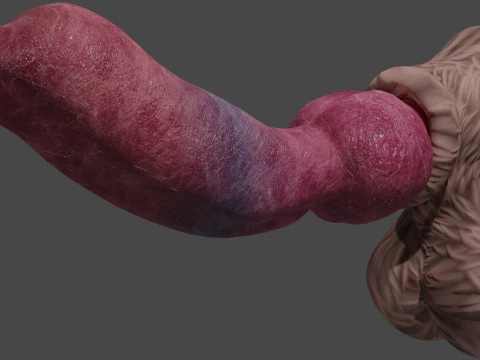 Big Dog Penis Lowpoly Rigged 3D Model