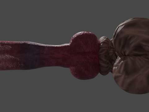 Big Dog Penis Lowpoly Rigged 3D-Modell