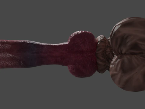 Big Dog Penis Lowpoly Rigged 3D Model
