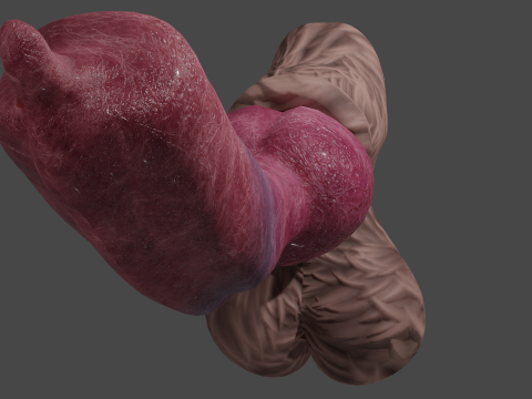 Big Dog Penis Lowpoly Rigged 3D-Modell