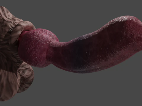 Big Dog Penis Lowpoly Rigged 3D Model