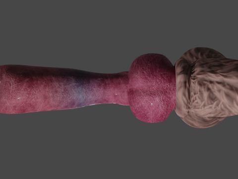 Big Dog Penis Lowpoly Rigged 3D-Modell