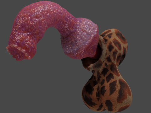 Fantasy Yeenoghu Demon Penis Sextoy Rigged 3D Model