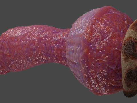 Fantasy Yeenoghu Demon Penis Sextoy Rigged 3D Model