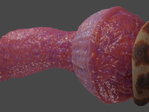 Fantasia Yeenoghu Demon Penis Sextoy Rigged Modelo 3D