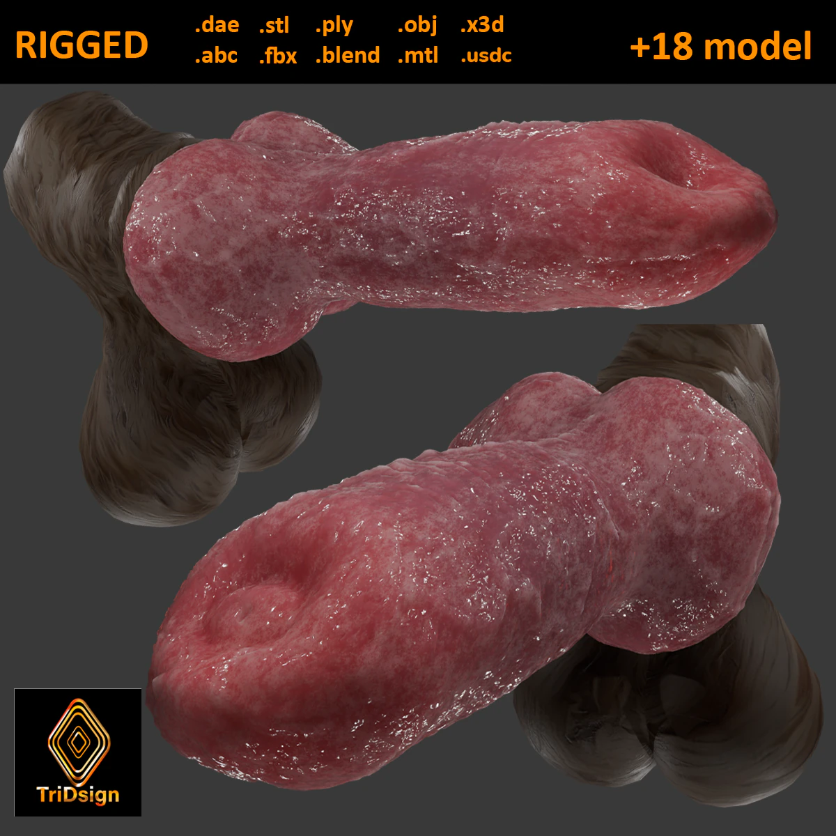 Dog Penis Rigged 3D Model .c4d .max .obj .3ds .fbx .stl .blend 