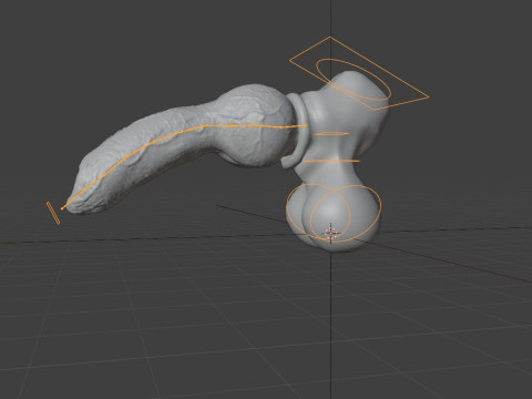 Dog Penis Rigged Modello 3D