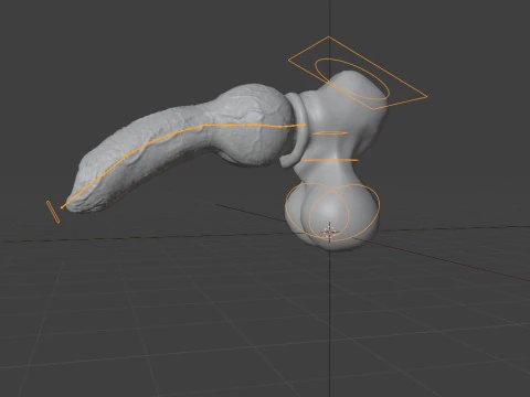 Dog Penis Rigged 3D Model