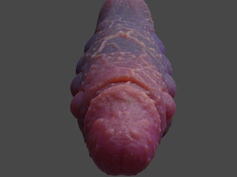 Print Ready Abyssal Demon Sextoy Mold only Modello di stampa 3D