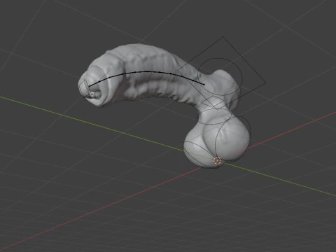 Gummy Horse Penis Rigged 3D Model