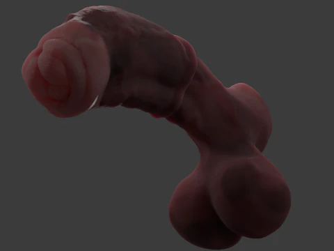 Werehorse Penis Rigged 3D Model