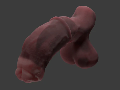Werehorse Penis Rigged 3D Model