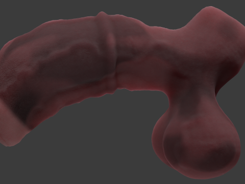 Werehorse Penis Rigged 3D Модель