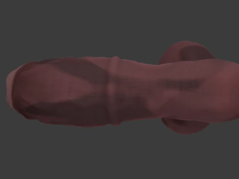 Werehorse Penis Rigged 3D Model