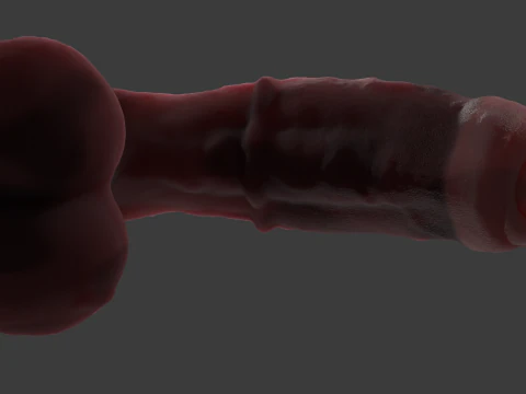 Werehorse Penis Rigged 3D Model