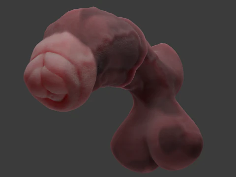 Werehorse Penis Rigged 3D Model