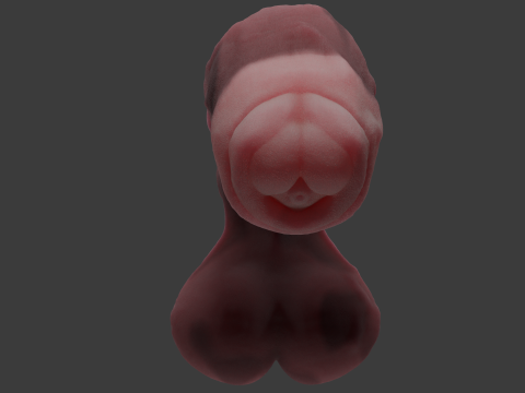 Werehorse Penis Rigged 3D Модель