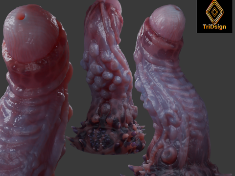 Jugran Penis Rigged 3D Model