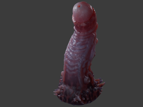 Jugran Penis Rigged 3D Model