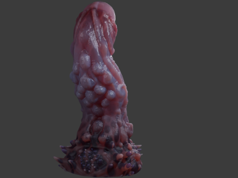 Jugran Penis Rigged 3D Model