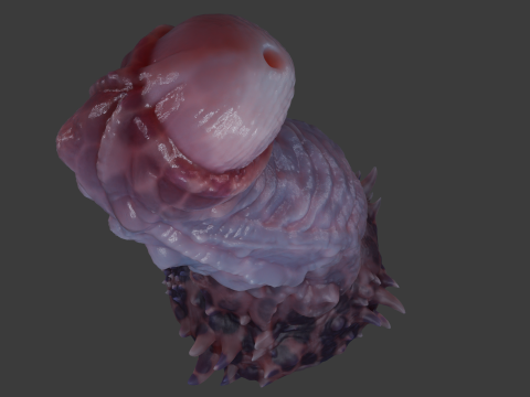 Jugran Penis Rigged 3D Model