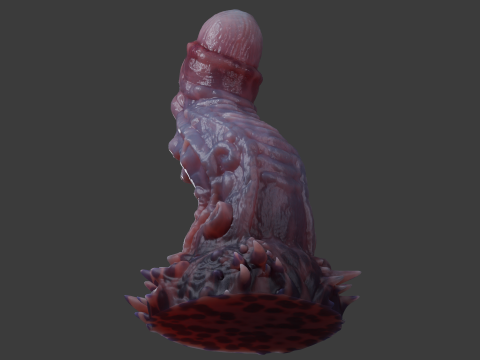 Jugran Penis Rigged 3D Model