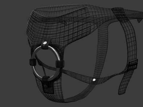 Strap on Ring Harness 3D Model