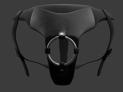 Strap on Ring Harness Modèle 3D