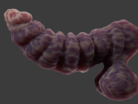 Fantasy Gronnan Penis Sextoy Rigged Modèle 3D