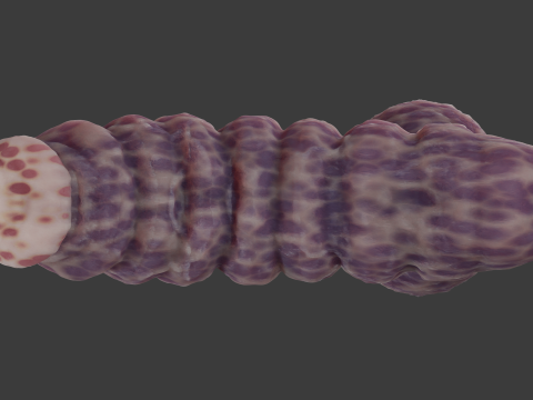 Fantasy Gronnan Penis Sextoy Rigged Modèle 3D