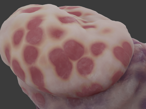 Fantasy Gronnan Penis Sextoy Rigged Modèle 3D