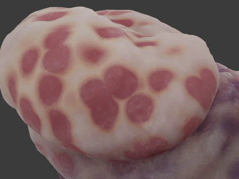 Fantasy Gronnan Penis Sextoy Rigged 3D Model