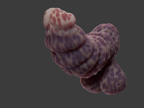 Fantasy Gronnan Penis Sextoy Rigged Modèle 3D