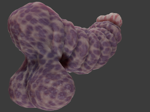 Fantasy Gronnan Penis Sextoy Rigged Modèle 3D