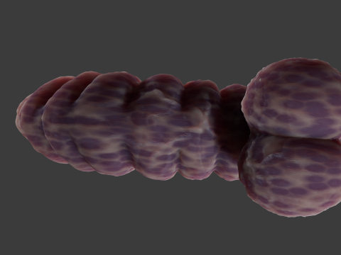 Fantasy Gronnan Penis Sextoy Rigged Modèle 3D