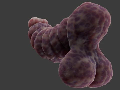 Fantasy Gronnan Penis Sextoy Rigged 3D Model