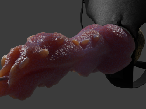Lowpoly Harness Dragon Penis Sextoy Rigged 3D Model