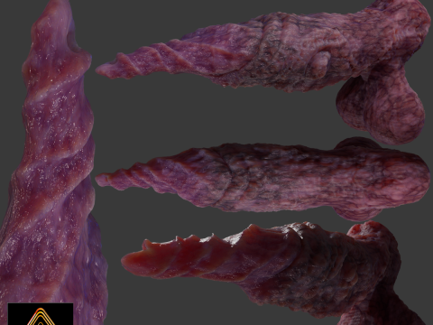 Fantasy Spirax Penis Sextoy Rigged 3D Model