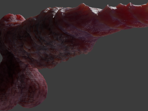 Fantasy Spirax Penis Sextoy Rigged Modello 3D