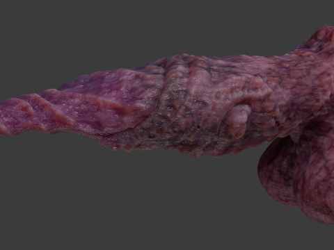 Fantasy Spirax Penis Sextoy Rigged Modello 3D
