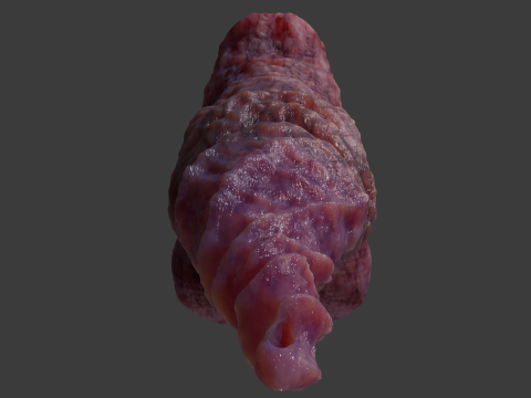 Fantasy Spirax Penis Sextoy Rigged Modello 3D