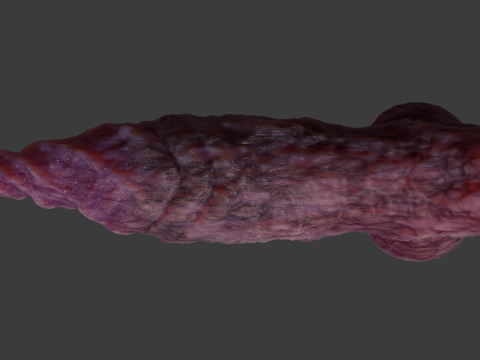 Fantasy Spirax Penis Sextoy Rigged Modello 3D