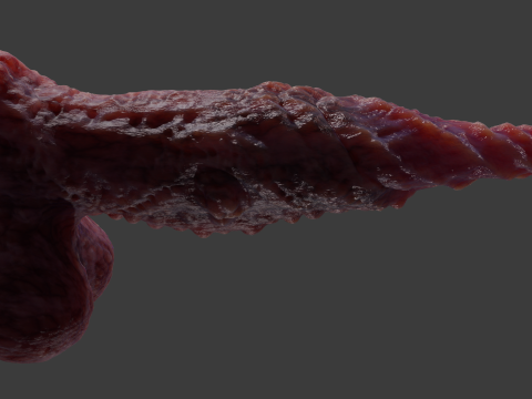 Fantasy Spirax Penis Sextoy Rigged Modello 3D