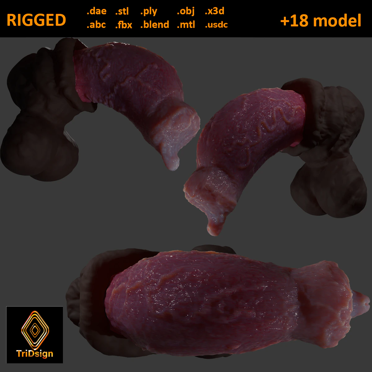 Werewolf Penis Sextoy Rigged 3D Model .c4d .max .obj .3ds .fbx .stl .blend