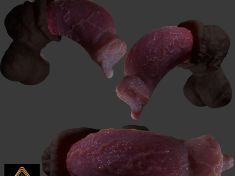 Werewolf Penis Sextoy Rigged 3D Model