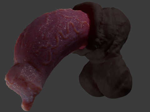 Werewolf Penis Sextoy Rigged Modelo 3D