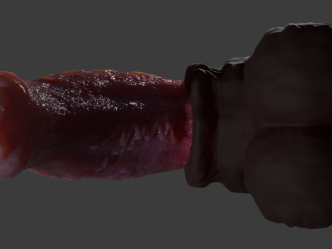 Werewolf Penis Sextoy Rigged Modelo 3D