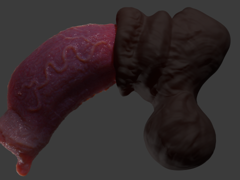 Werewolf Penis Sextoy Rigged Modelo 3D