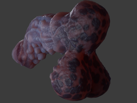 Jugran with balls Penis Sextoy Rigged 3D Model
